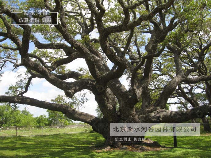 仿真树为新农村建设出一份力-北京淡水河谷仿真树