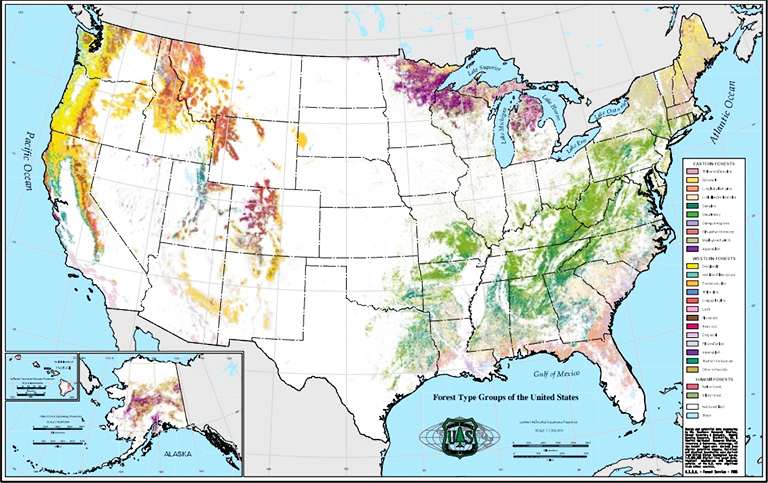 当前美国森林类型和密度图-美国树木的位置图