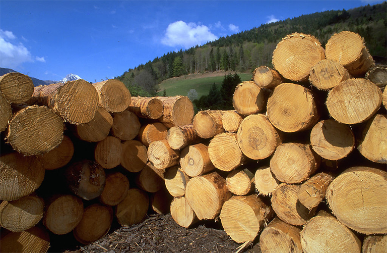 测量和了解木材体积-使用经验法则木材体积换算