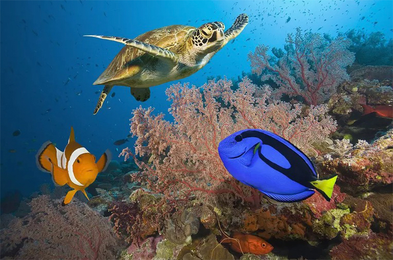 大堡礁-它们都在什么地方