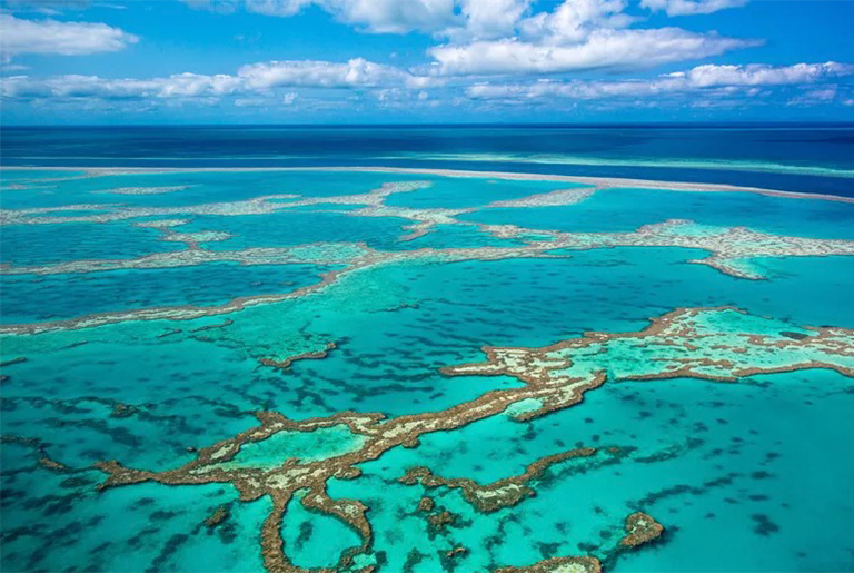世界上最大的珊瑚礁