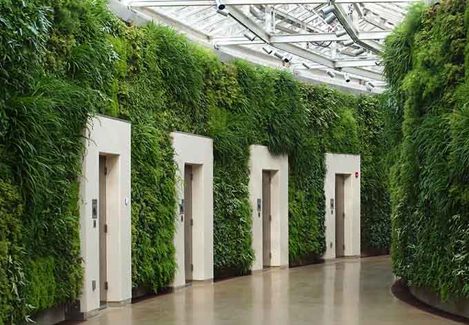 indoor-green-wall-with-awesome-long-leaved-grass-and-lots-of-brian-k-winn-has-0-subscribed-credited-from-www-prweb-com_green-wall-plant-design_interior-design_interior-design-colleges-school-nyc-games.jpg