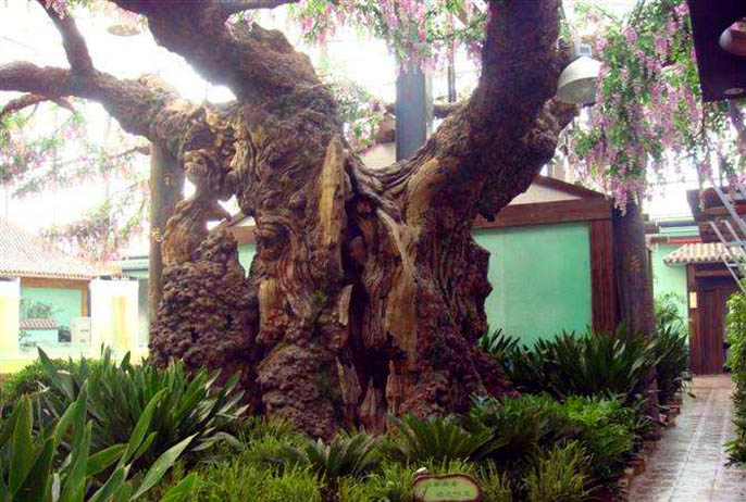 仿真树.jpg 仿真树