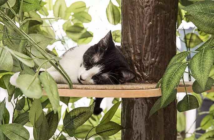 仿真树.jpeg 仿真树