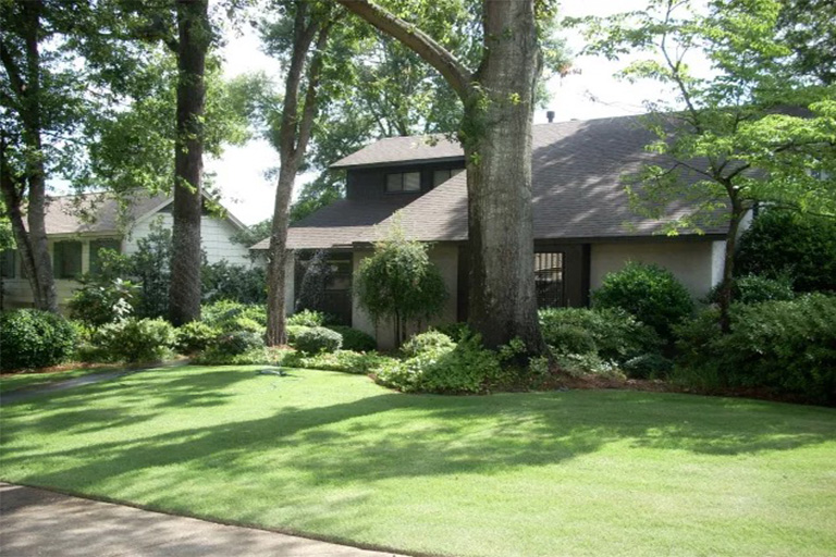 仿真树.jpg 仿真树