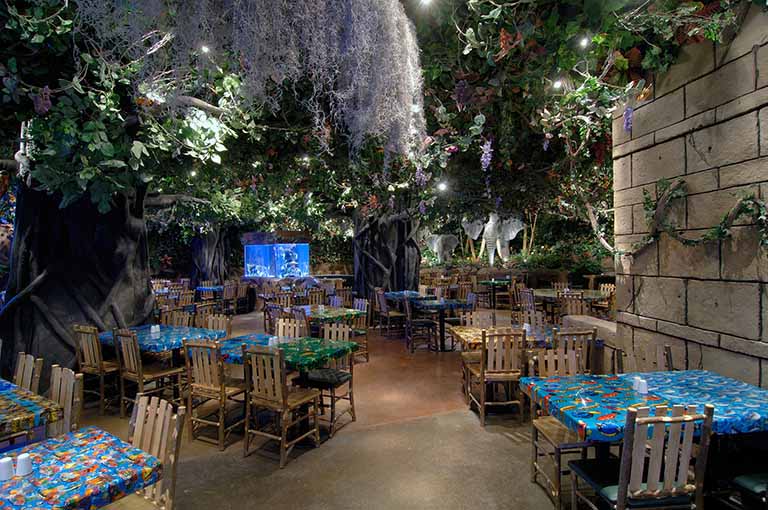 rainforestcafe12.jpg