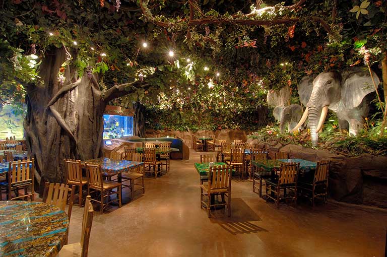 rainforestcafe11 (2).jpg