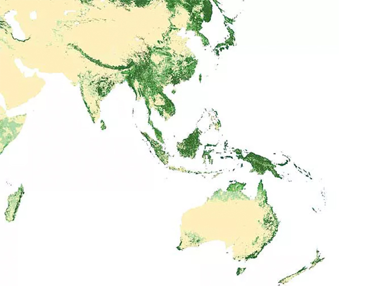 东亚和环太平洋森林覆盖图