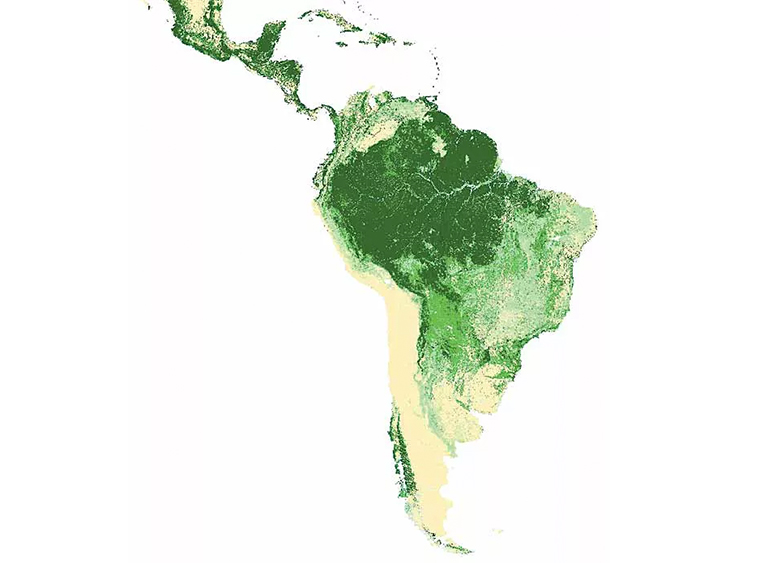 拉丁美洲和加勒比森林覆盖图