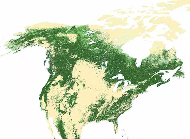 北美森林覆盖地图
