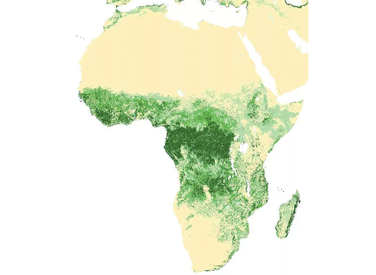 非洲森林覆盖地图