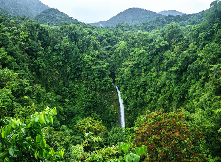 北美森林生物群落详细信息和高清美图欣赏