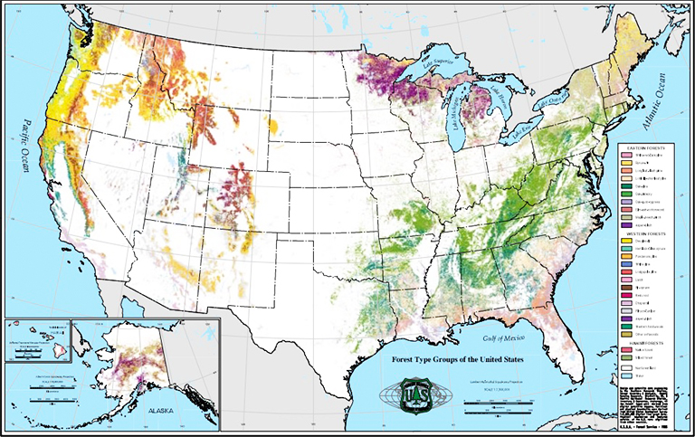 美国的森林类型组
