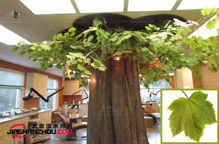 仿真树.jpg 仿真树