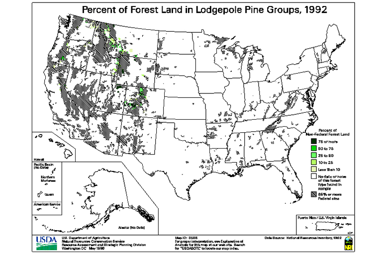 Lodgepole Pine Type地图