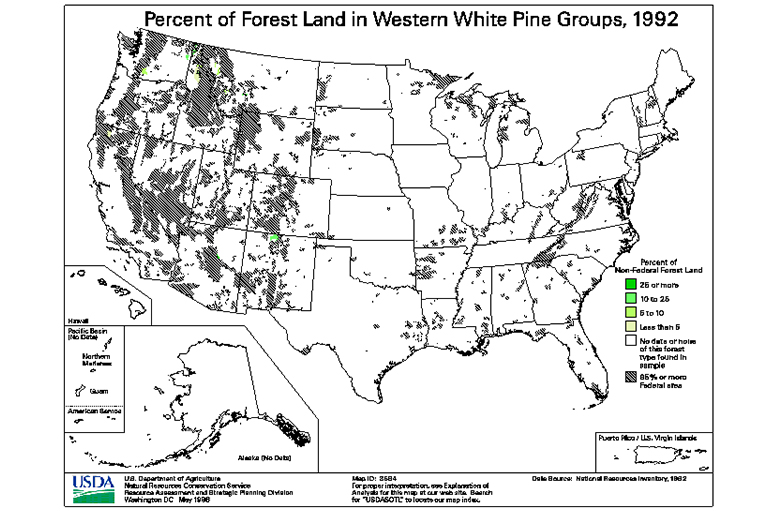 西方白松树类型地图