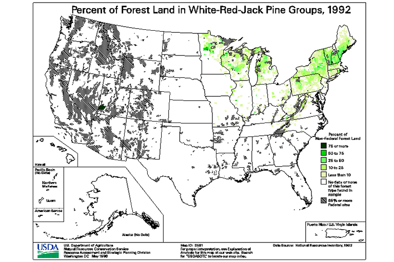 白红杰克松树类型地图