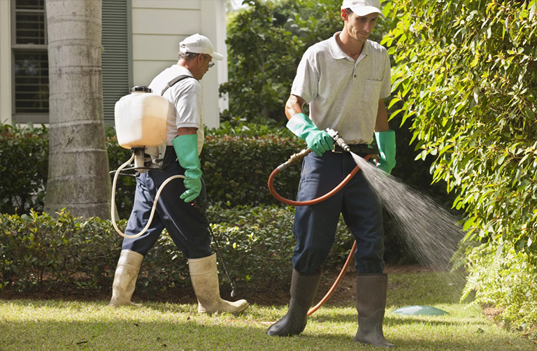 害虫防治技术人员在树木和草上使用便携式喷雾器