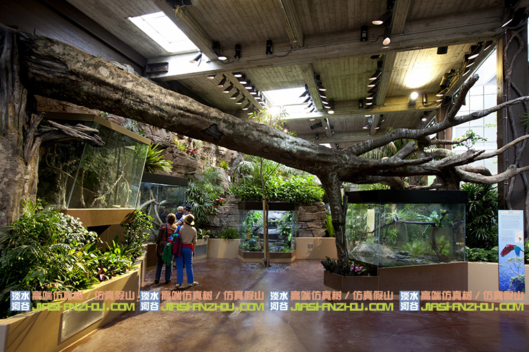 仿真树.jpg 仿真树