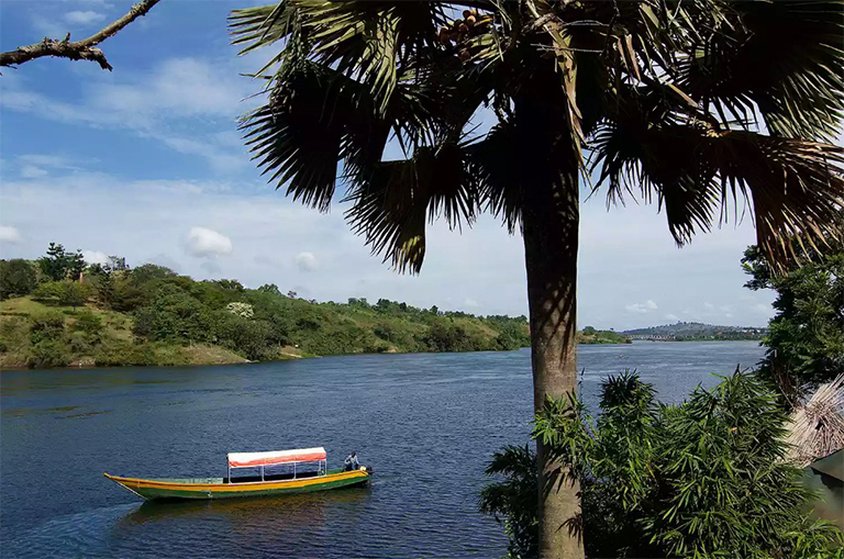 从乌干达金贾的维多利亚湖流出的尼罗河的源头