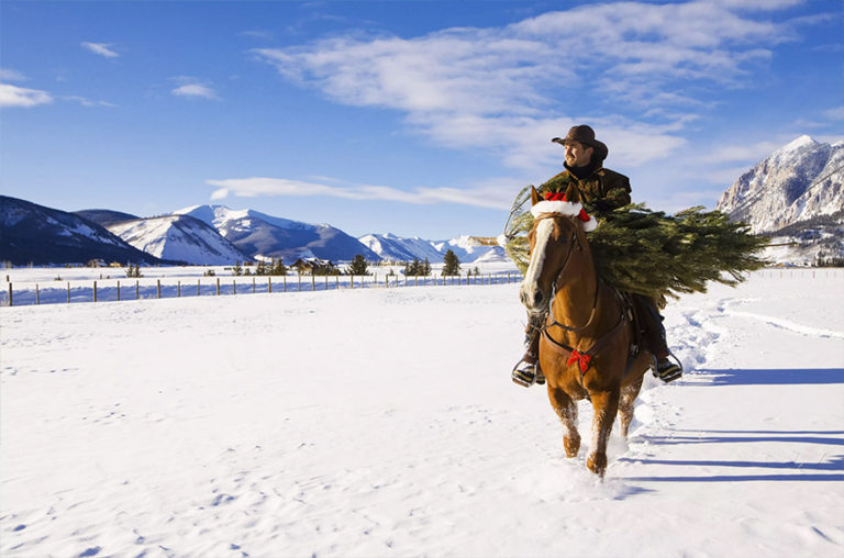 夫妇在马背上拖着一棵圣诞树拖到牧场附近的凤头小山-洛矶山脉的冬天