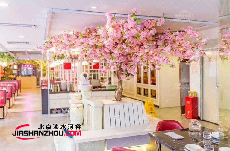 如何管理和维护毛泡桐树-仿真树厂家温馨提示