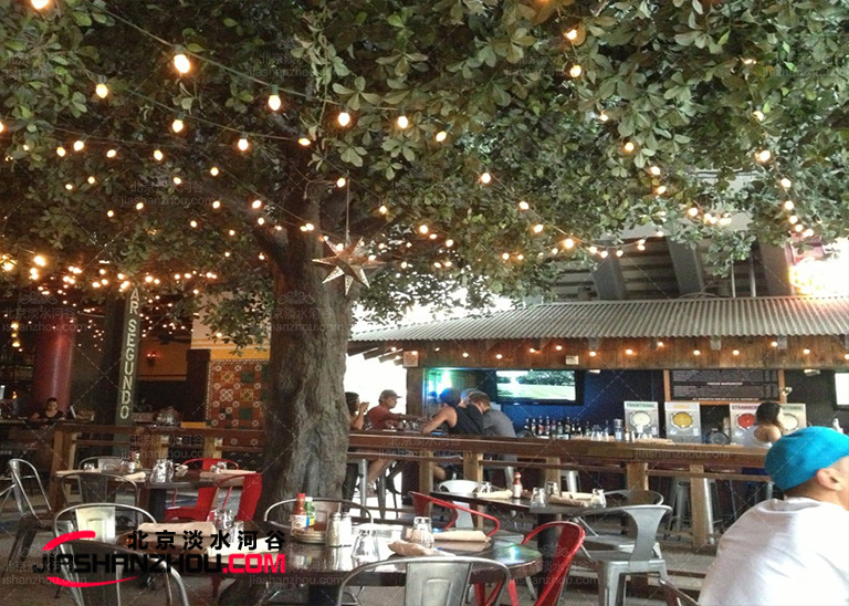 高品质高质量9.5米仿真树室内外均可订制