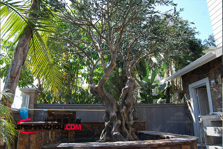 在院子里使用人工室外仿真树植物-来自山西大同客户的照片