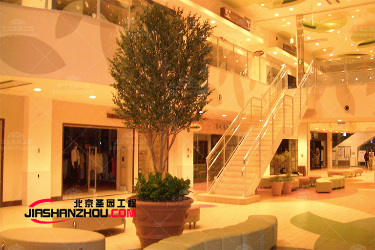 佳福建室内盆景仿真树以及室内仿真棕榈树美图