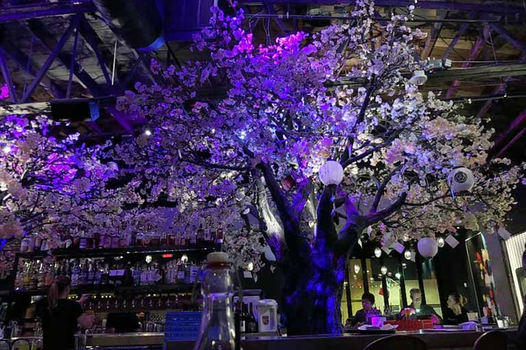 云南夏日仿真树奇遇 荒芜神秘大树的惊奇之旅