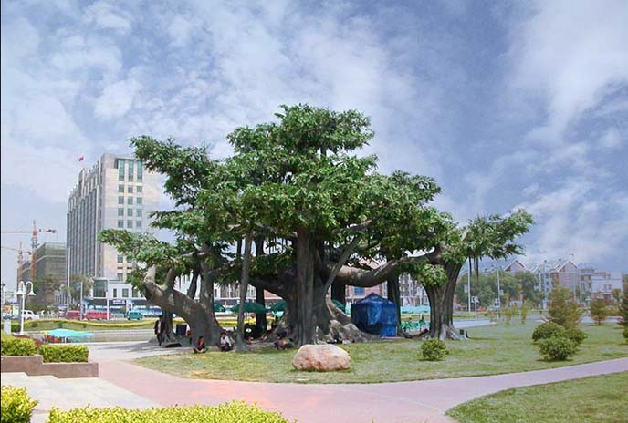 仿真树.jpg 仿真树