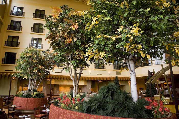 仿真树.jpg 仿真树.jpg