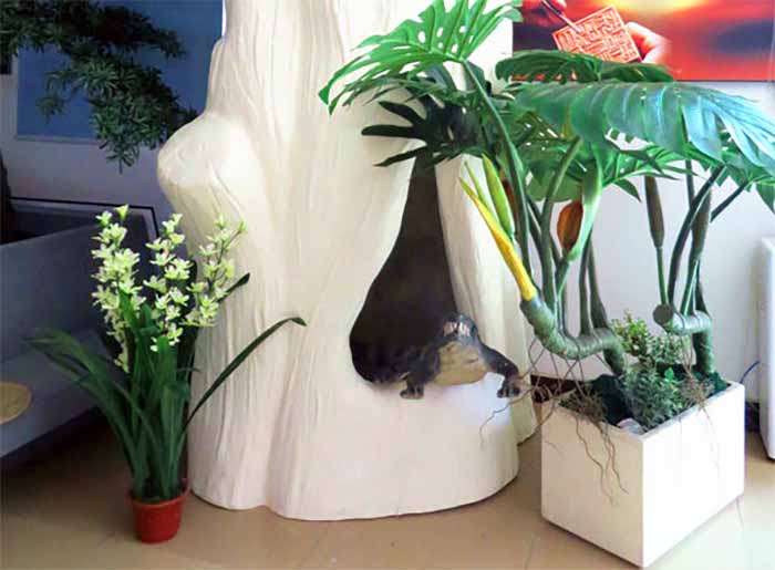 水泥假山.jpg 水泥假山.jpg