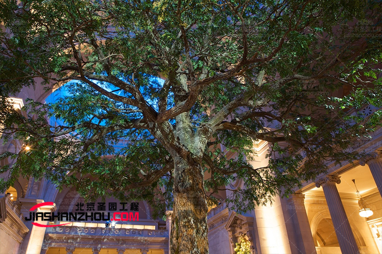 仿真树.jpg 仿真树.jpg